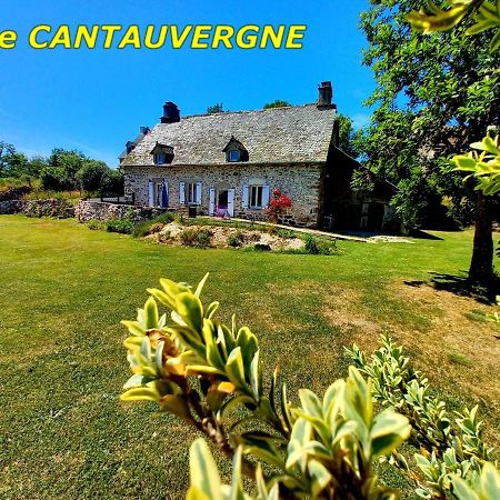 Gite Cantauvergne Villa Vebret Exterior photo