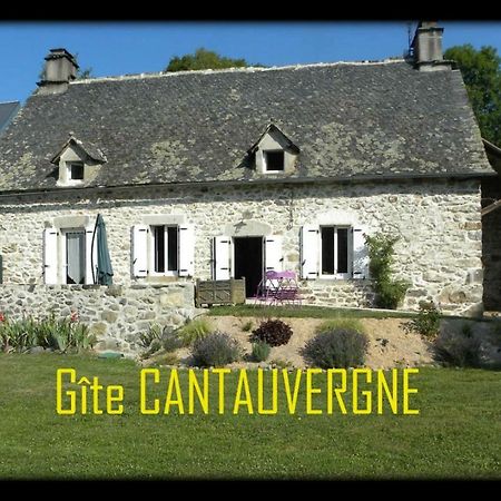 Gite Cantauvergne Villa Vebret Exterior photo