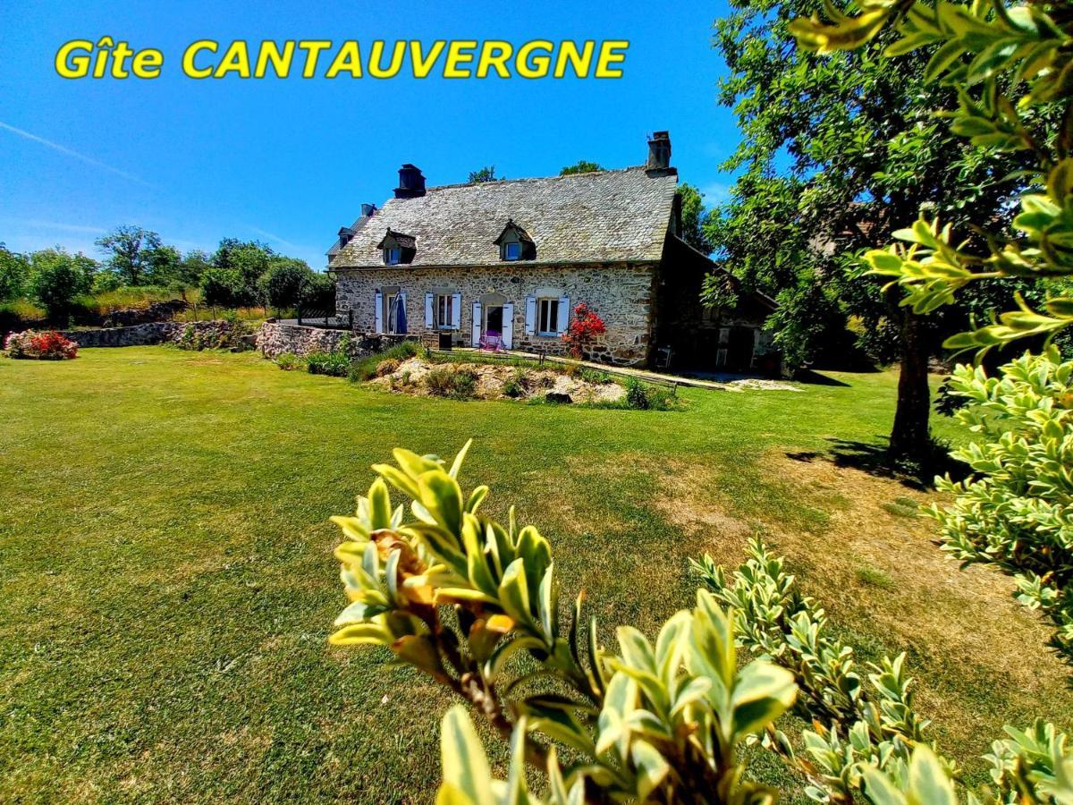 Gite Cantauvergne Villa Vebret Exterior photo