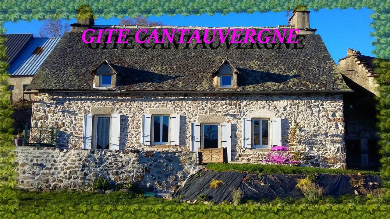 Gite Cantauvergne Villa Vebret Exterior photo