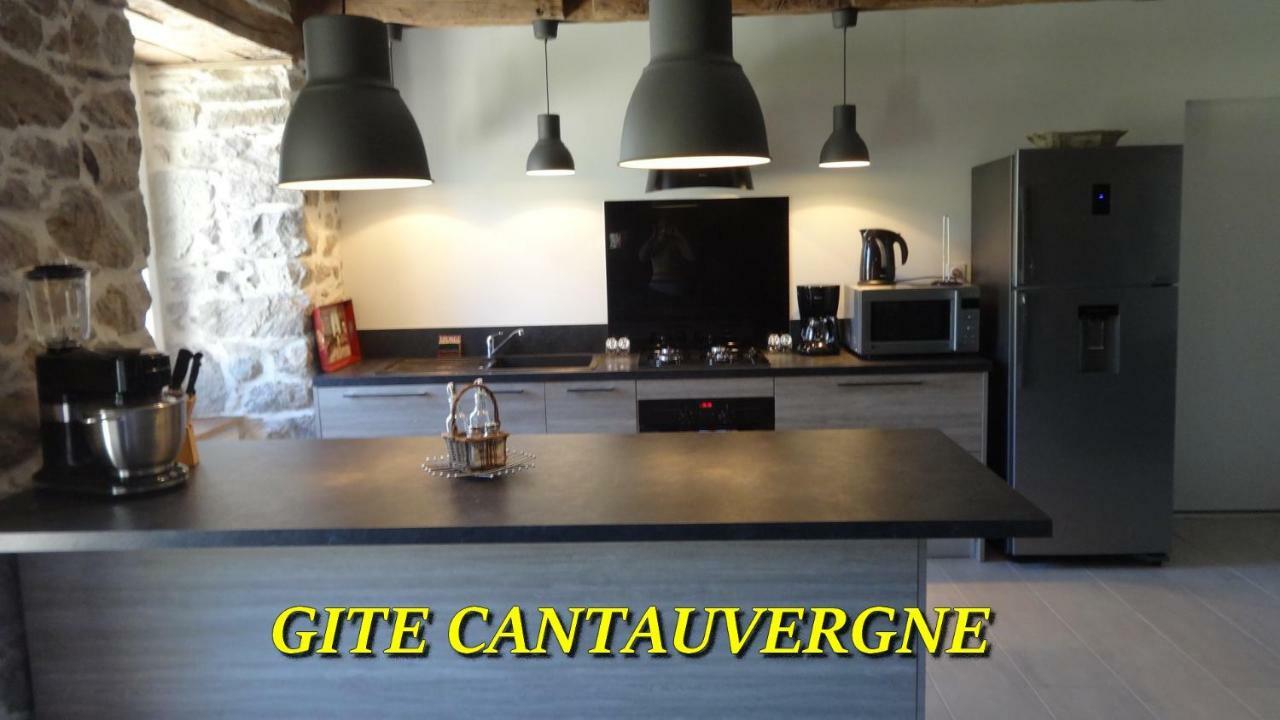 Gite Cantauvergne Villa Vebret Exterior photo