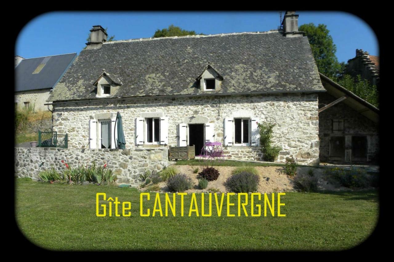 Gite Cantauvergne Villa Vebret Exterior photo