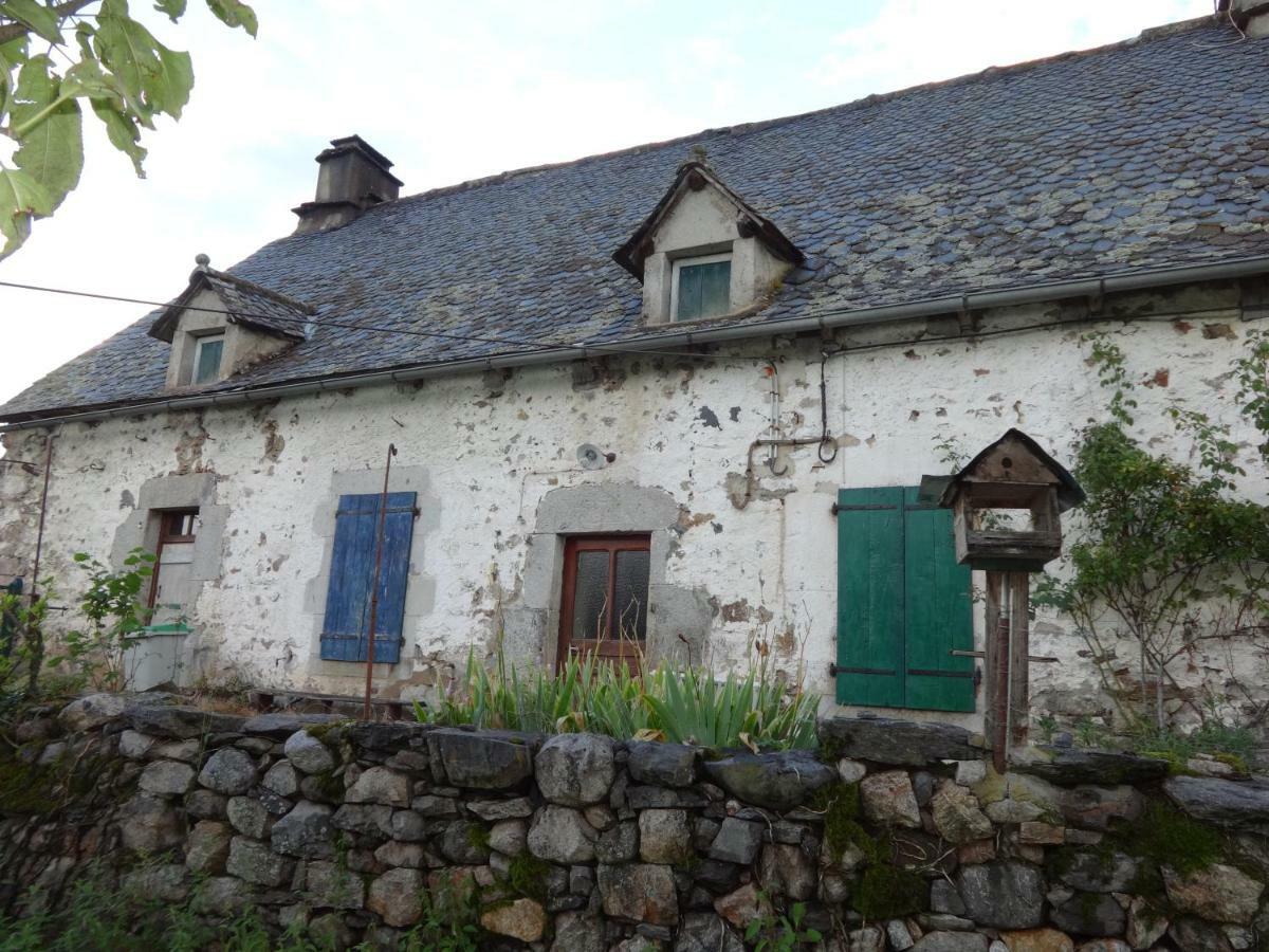 Gite Cantauvergne Villa Vebret Exterior photo