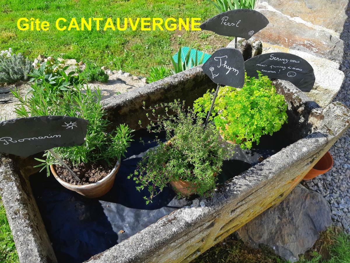 Gite Cantauvergne Villa Vebret Exterior photo