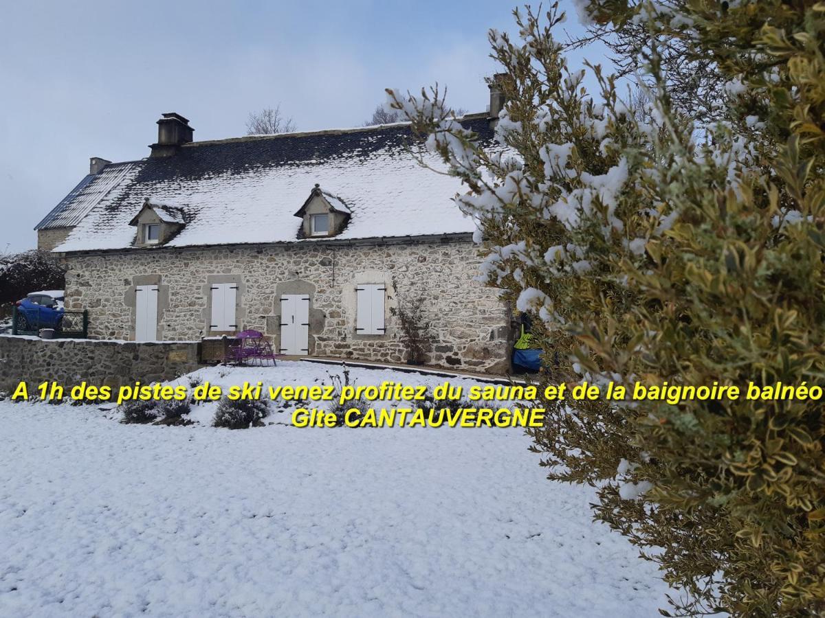 Gite Cantauvergne Villa Vebret Exterior photo
